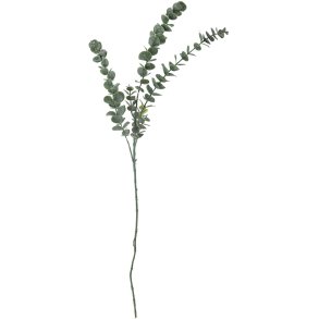 Bloomingville Eucalyptus Knstlicher Stiel 76 cm, Grn