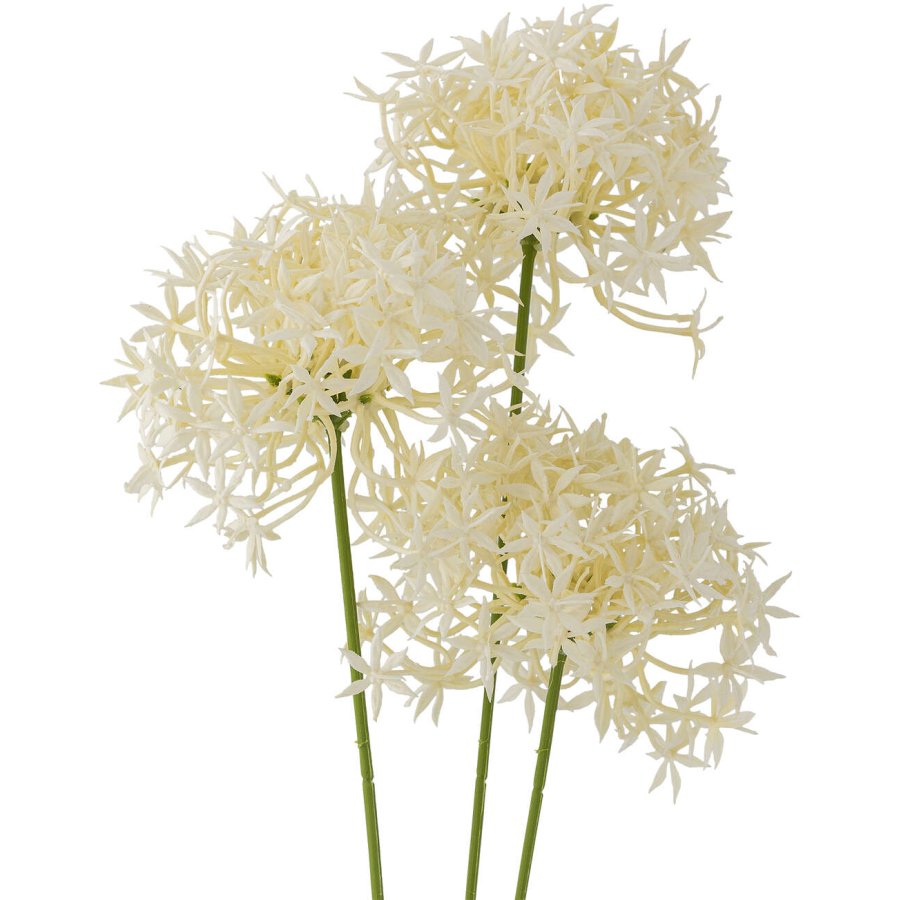 Bloomingville Allium Künstlicher Stiel 63,5 cm, Weiß