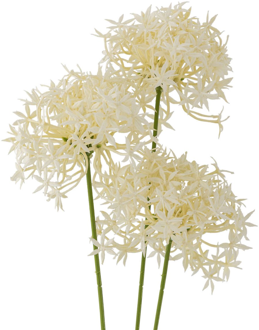 Bloomingville Allium Künstlicher Stiel 63,5 cm, Weiß