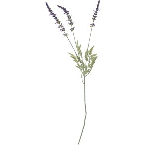 Bloomingville Lavender Knstlicher Stiel 65,5 cm, Lila