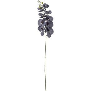 Bloomingville Orchid Kunstig Stilk 105,5 cm, Lilla