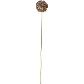 Bloomingville Allium Kunstig Stilk 70 cm, Brun