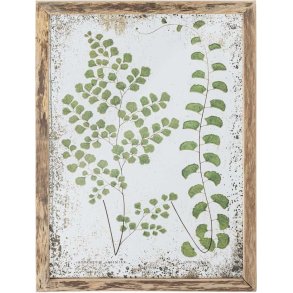 Creative Collection Tipper Illustration mit Rahmen 34,5x46 cm, Kiefer