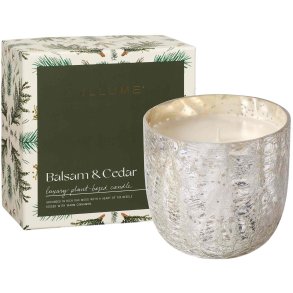 ILLUME x Bloomingville Duftkerzen 12/H11,5 cm, Balsam & Cedar