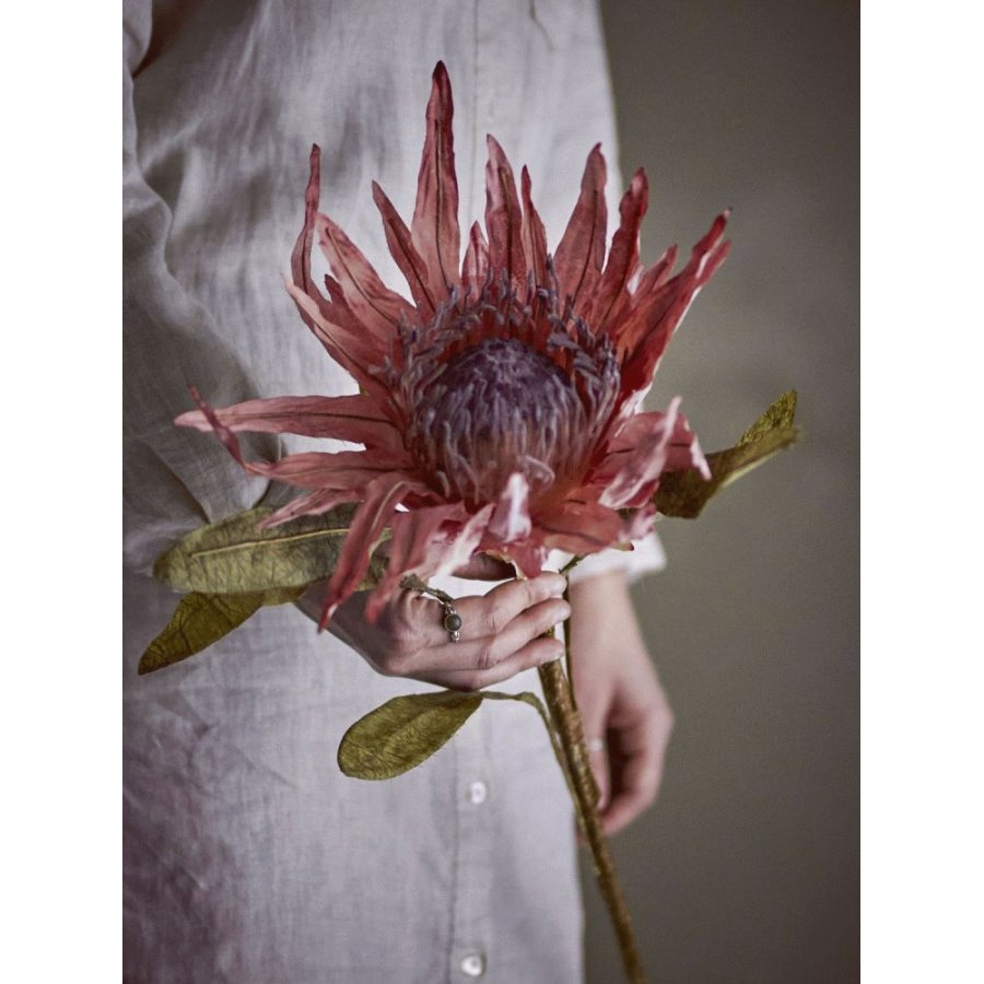 Bloomingville Protea Kunstig Stilk 100 cm, Rosa