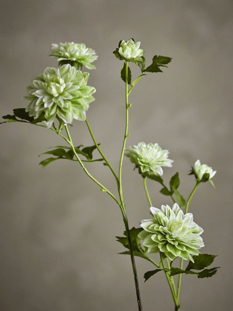 Bloomingville Chrysantemum Kunstig Stilk 75 cm, Hvid