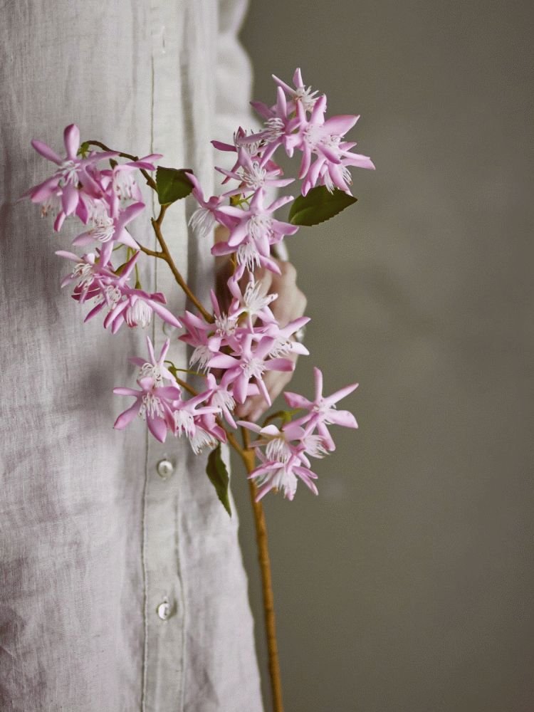 Bloomingville Chrysantemum Kunstig Stilk 72 cm, Rosa