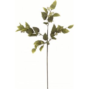 Bloomingville Eucalyptus Kunstig Stilk 91,5 cm, Gr�n