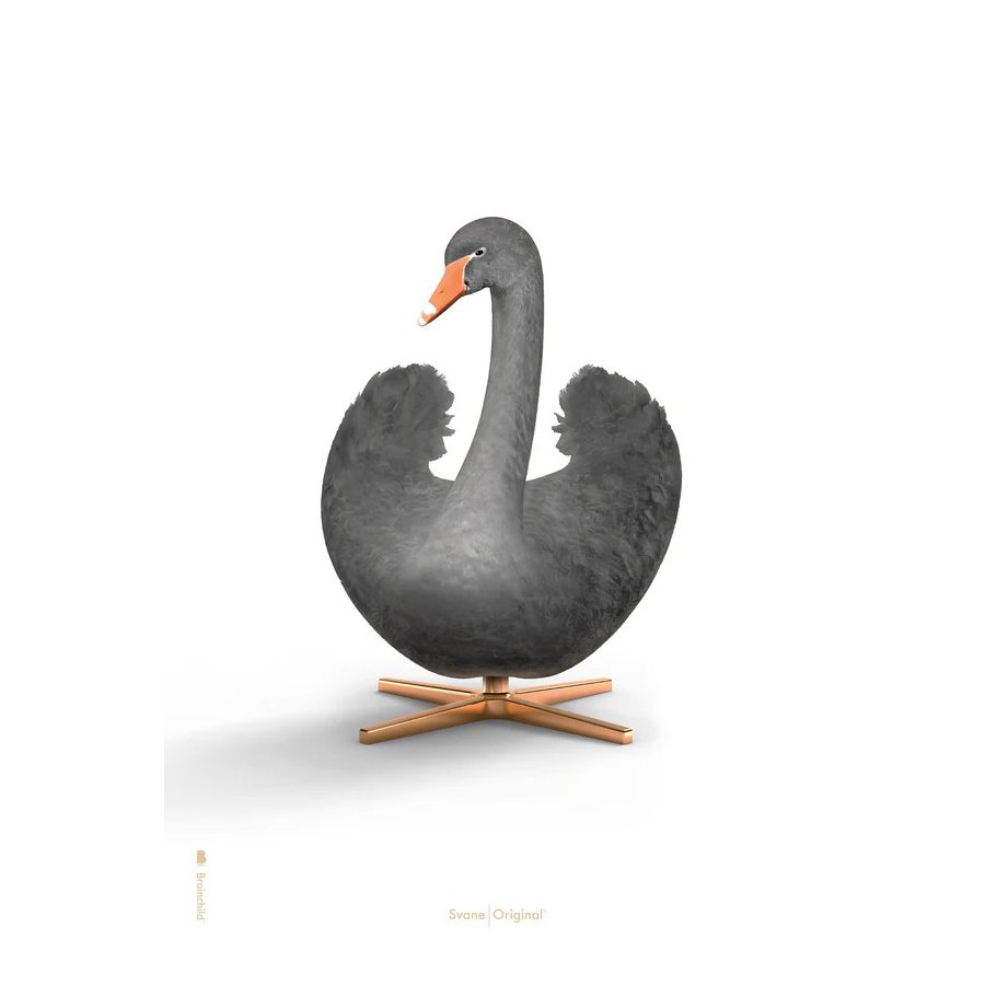 Brainchild Black Swan Poster A5, Weiß