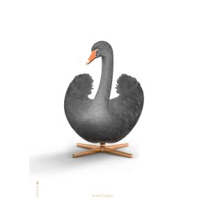 Brainchild Black Swan Poster 30x40 cm, Weiß