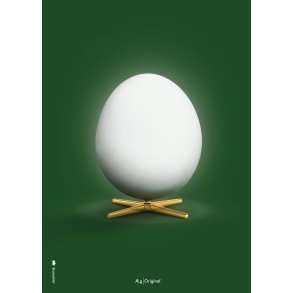 Brainchild The Egg Poster 50x70 cm, Grün
