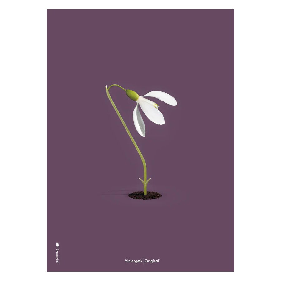 Brainchild Schneewittchen Poster A5, Lila