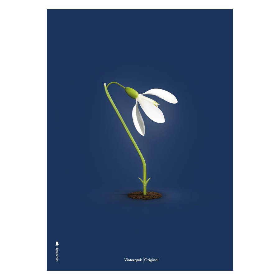 Brainchild Schneewittchen Poster A5, Dunkelblau