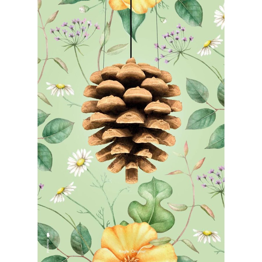 Brainchild Flora The Pinecone Poster 50x70 cm, Grn