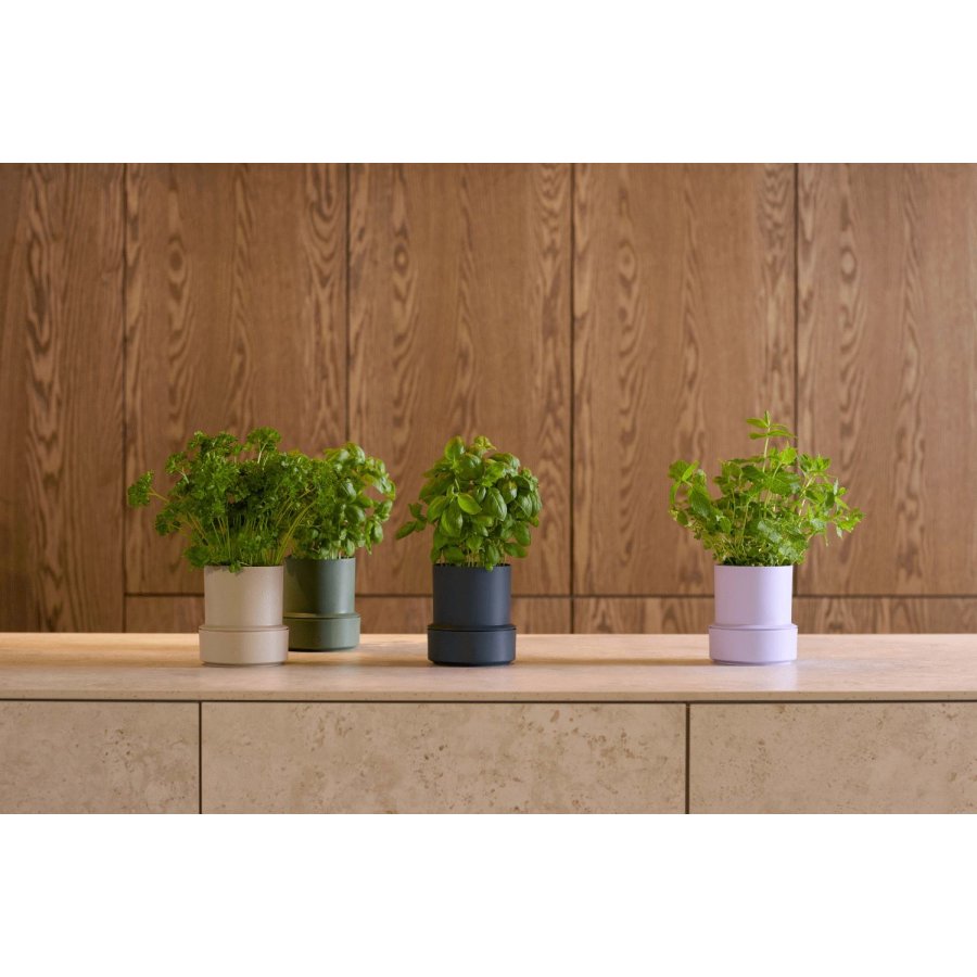 CrushGrind Billund Selbstbewssernder Krutertopf H14 cm, Parsley