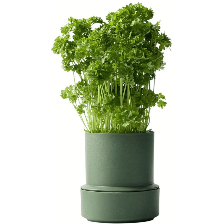 CrushGrind Billund Selbstbewssernder Krutertopf H14 cm, Parsley