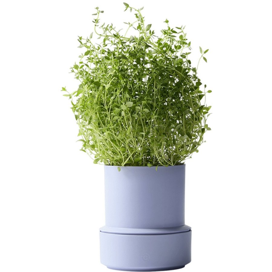 CrushGrind Billund Selbstbewssernder Krutertopf H14 cm, Lavender