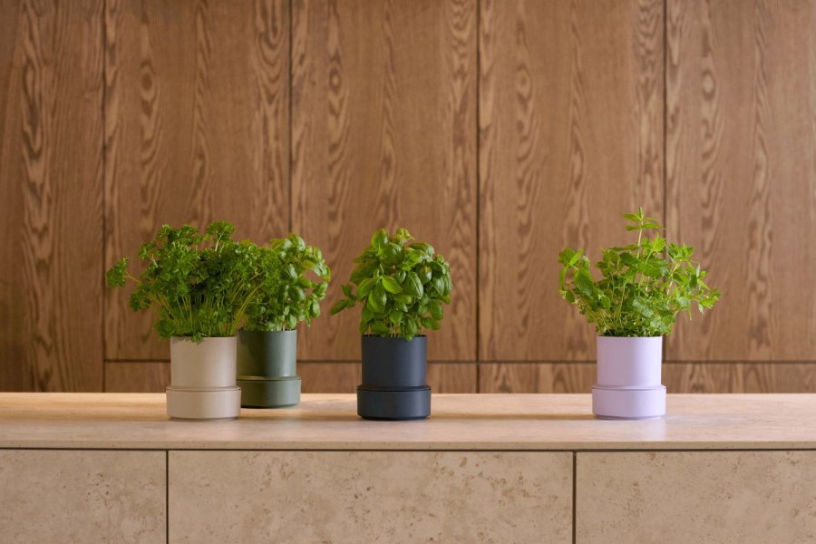 CrushGrind Billund Selbstbewssernder Krutertopf H14 cm, Blueberry