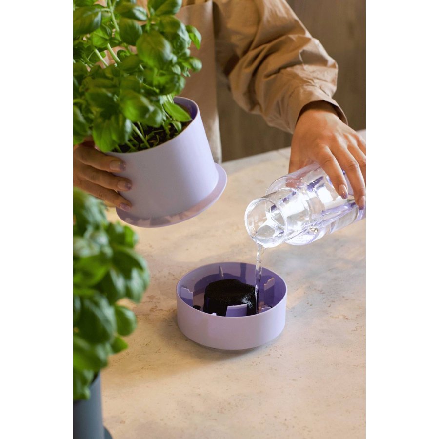 CrushGrind Billund Selbstbewssernder Krutertopf H14 cm, Blueberry