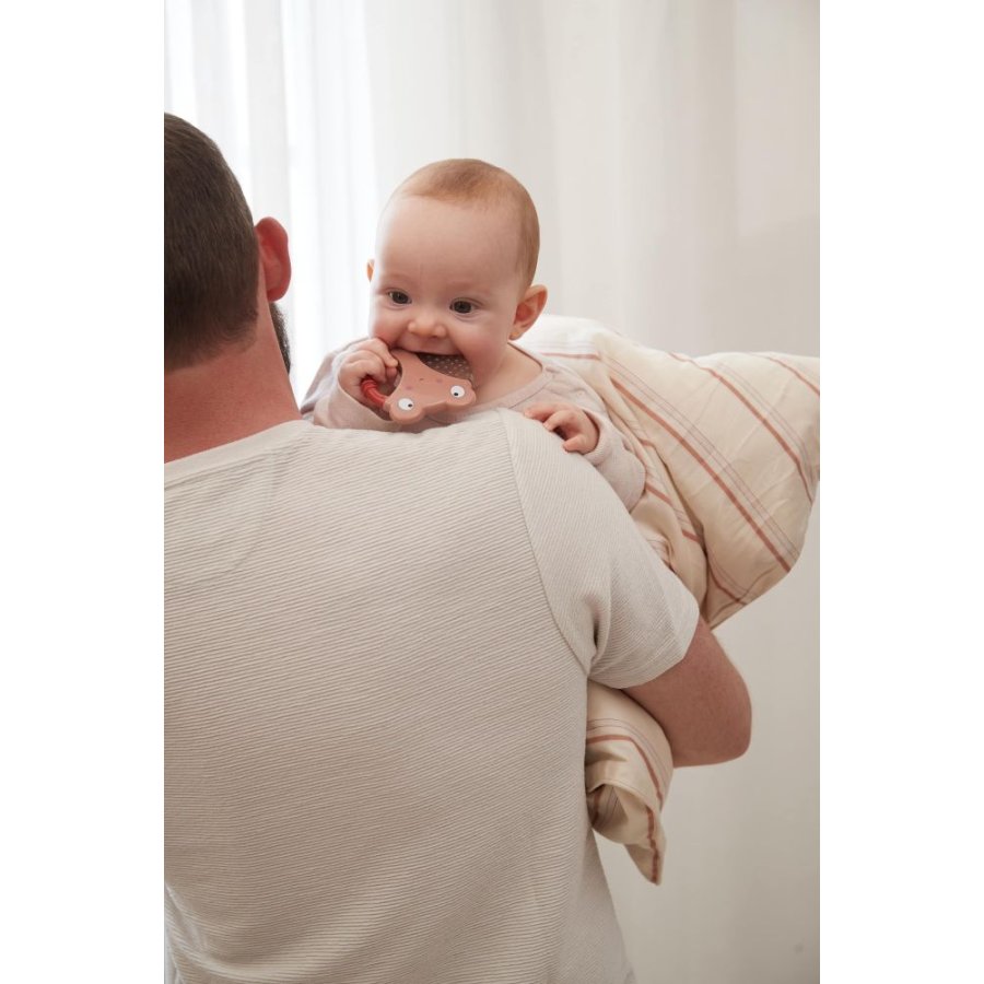 FILIBABBA K�lende Bideringe 2 stk, Bi og Larve