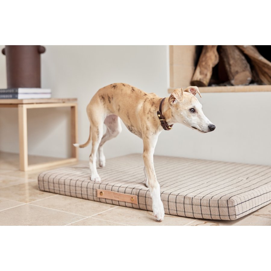 OYOY ZOO Robin Hundehalsband 35 cm, Schokolade