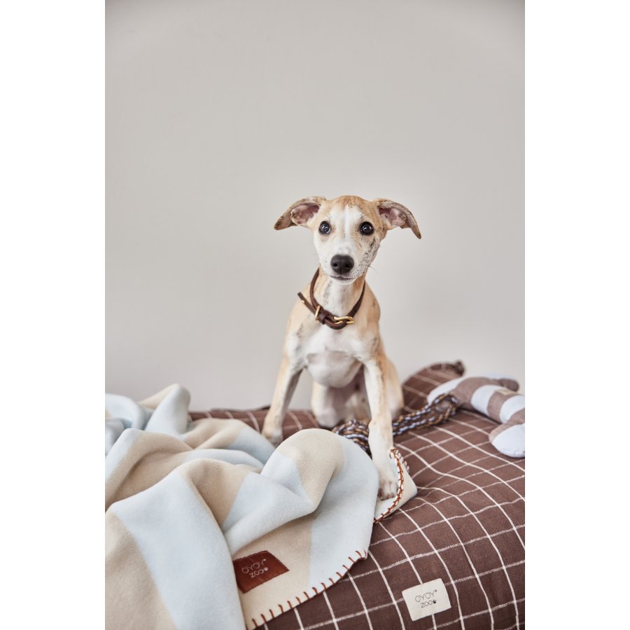 OYOY ZOO Robin Hundehalsband 35 cm, Schokolade