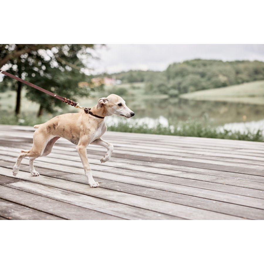 OYOY ZOO Robin Hundehalsband 35 cm, Schokolade