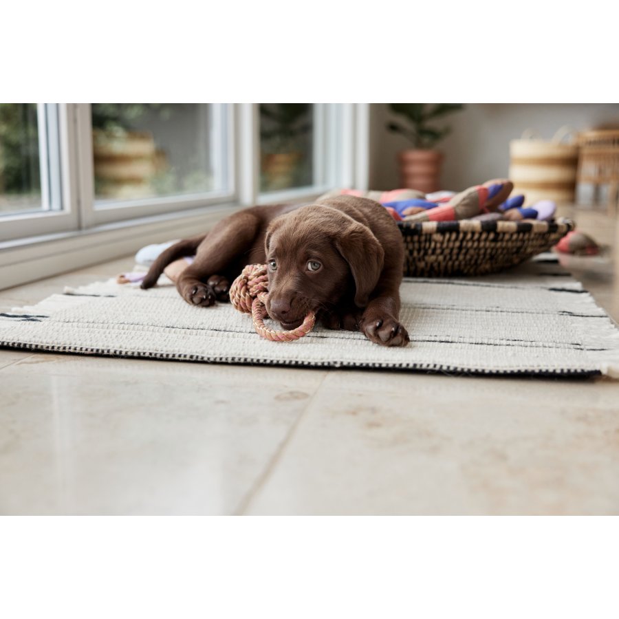 OYOY ZOO Otto Rebsnor Hundespielzeug 22 cm, Caramel