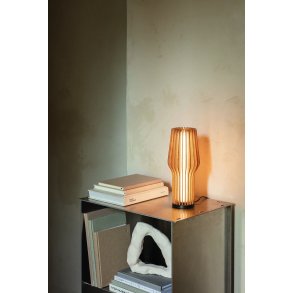 Eva Solo Radiant Trådløs Bordlampe LED H28 cm, Eg