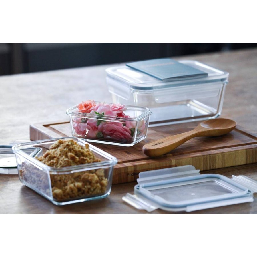 Endeavour Foodbox Haushaltsbox 20x16 cm, Glas