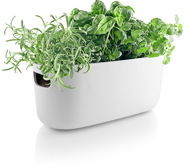 Eva Solo Selbstbewssernder Herb-Organizer, Wei