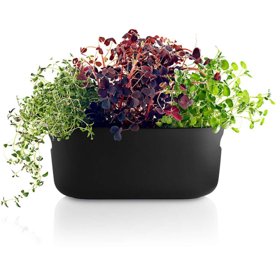 Eva Solo Selbstbewssernder Herb-Organizer, Schwarz