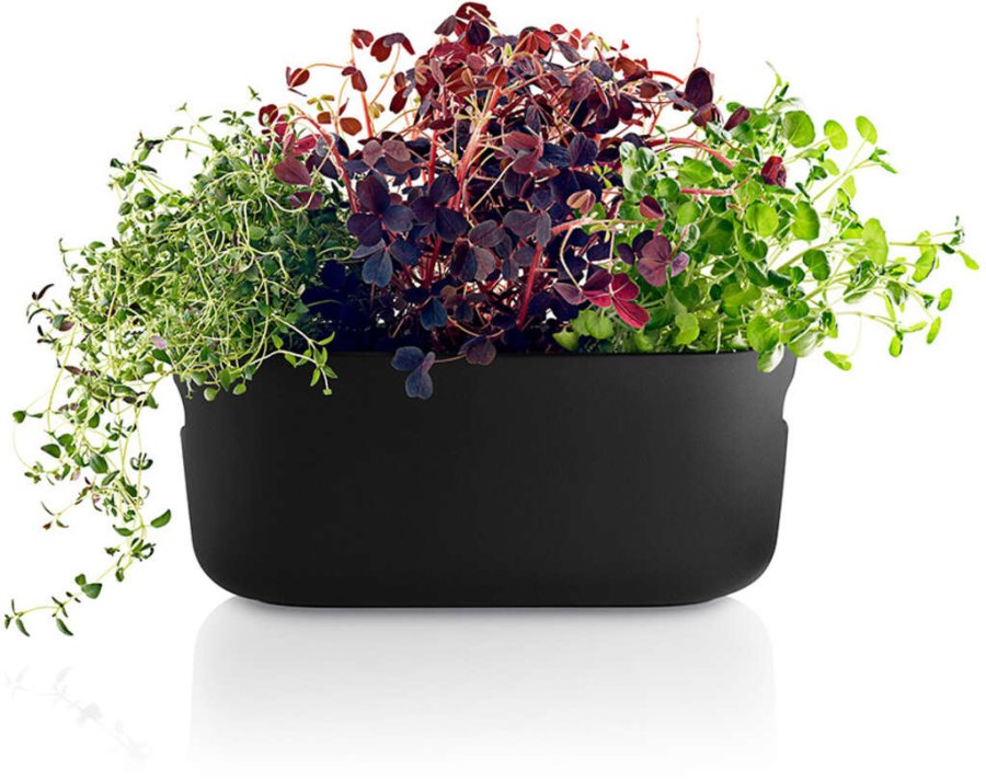 Eva Solo Selbstbewssernder Herb-Organizer, Schwarz