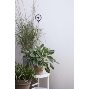 Eva Solo Udendørstermometer Stående Ø11 cm, Sort/Hvid