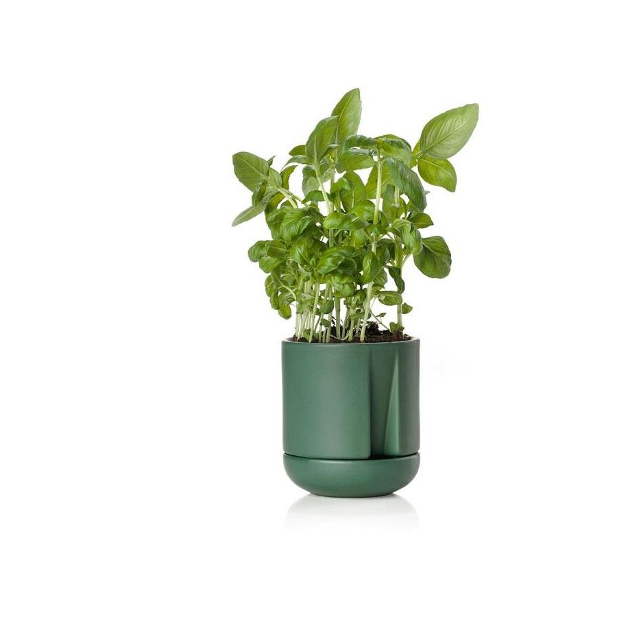 Zone Herb & Sprout Krydderurtepotte 11,6cm, Jungle Green