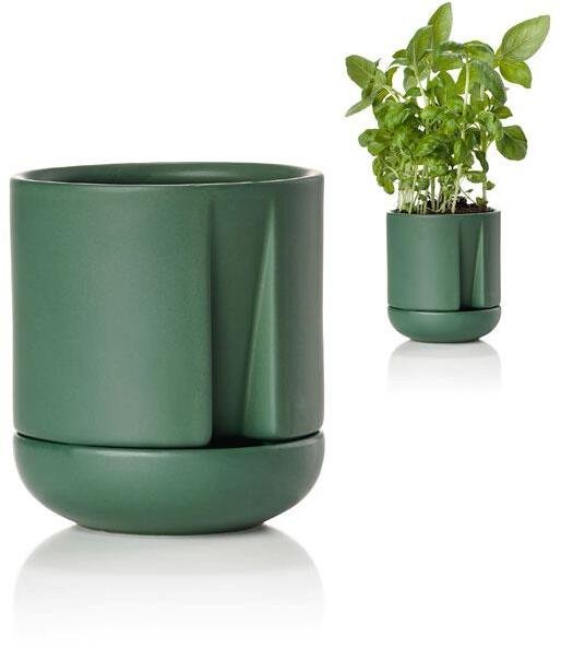 Zone Herb & Sprout Krydderurtepotte 11,6cm, Jungle Green