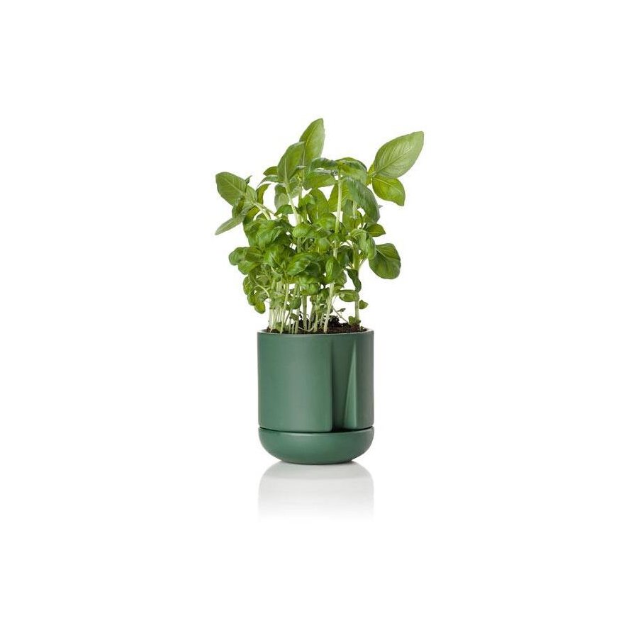 Zone Herb & Sprout Krydderurtepotte 11,6cm, Jungle Green
