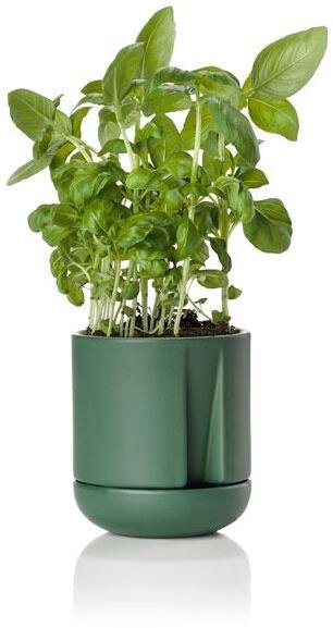 Zone Herb & Sprout Krydderurtepotte 11,6cm, Jungle Green
