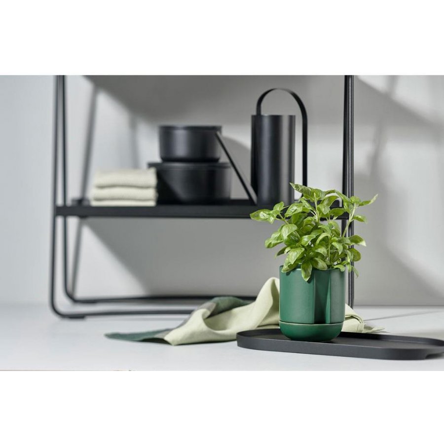 Zone Herb & Sprout Krydderurtepotte 11,6cm, Jungle Green