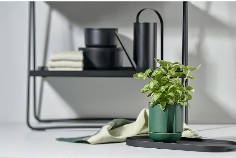 Zone Herb & Sprout Krydderurtepotte 11,6cm, Jungle Green