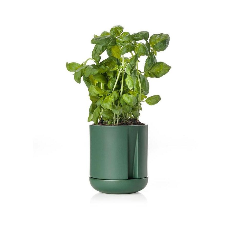 Zone Herb & Sprout Krydderurtepotte 13,6cm, Jungle Green