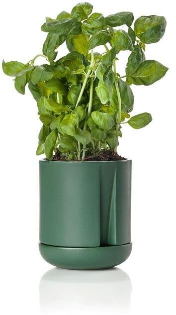 Zone Herb & Sprout Krydderurtepotte 13,6cm, Jungle Green