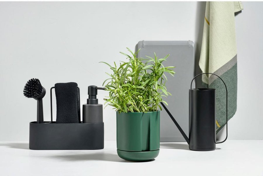Zone Herb & Sprout Krydderurtepotte 13,6cm, Jungle Green