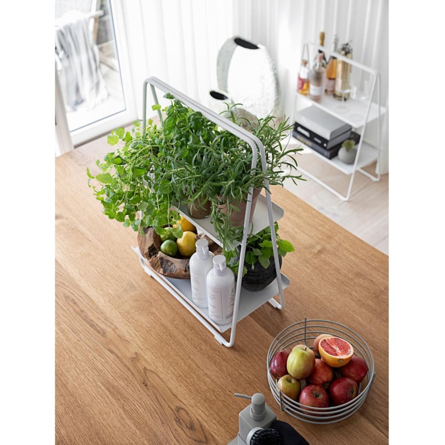 Zone Botanical Scents Opvaskemiddel 480 ml, Lemon Launch