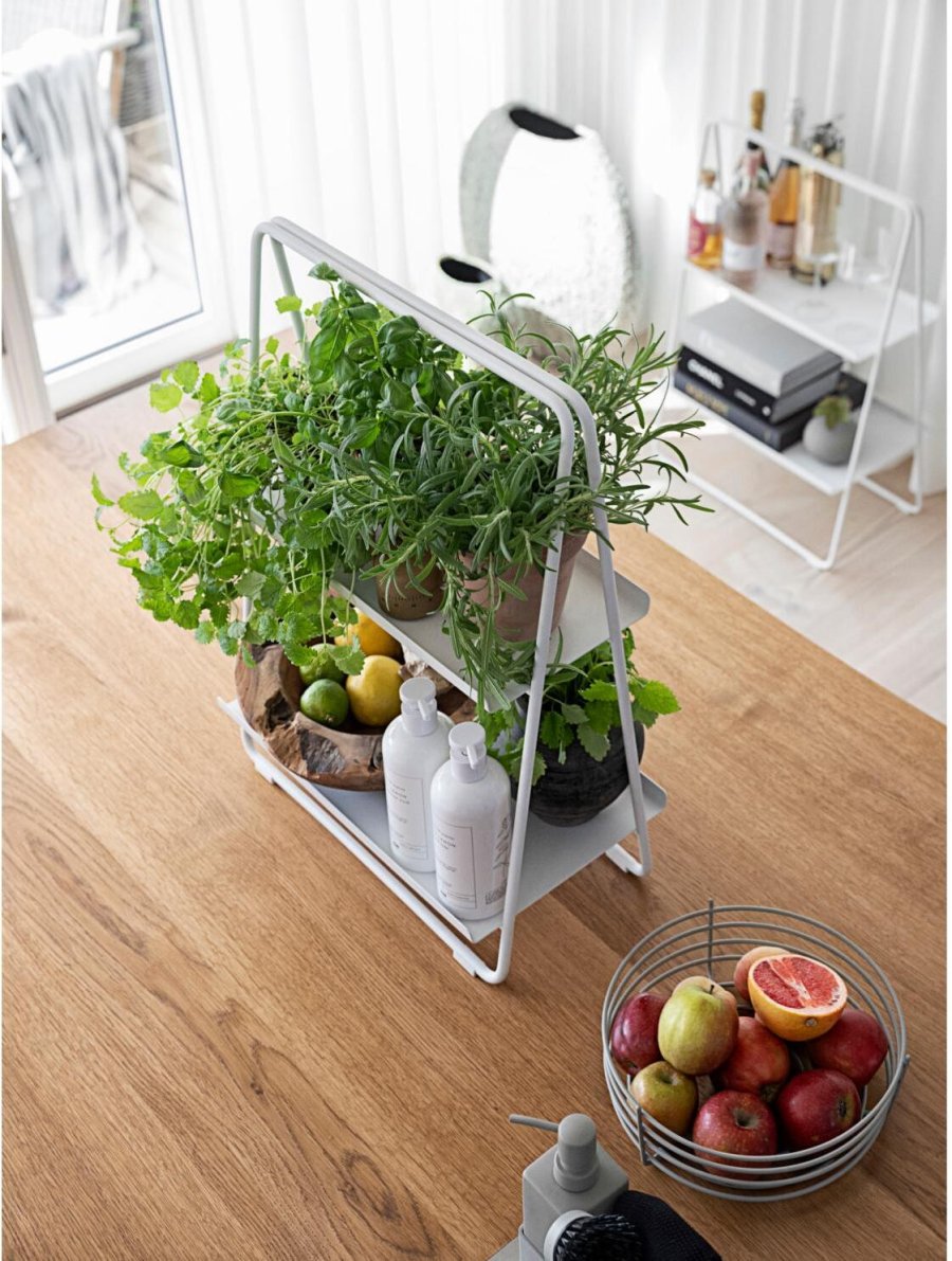 Zone Botanical Scents Opvaskemiddel 480 ml, Lemon Launch