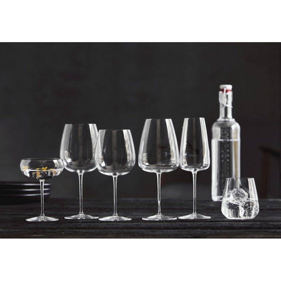 Luigi Bormioli Talismano Rdvinsglas 2 stk. 75 cl