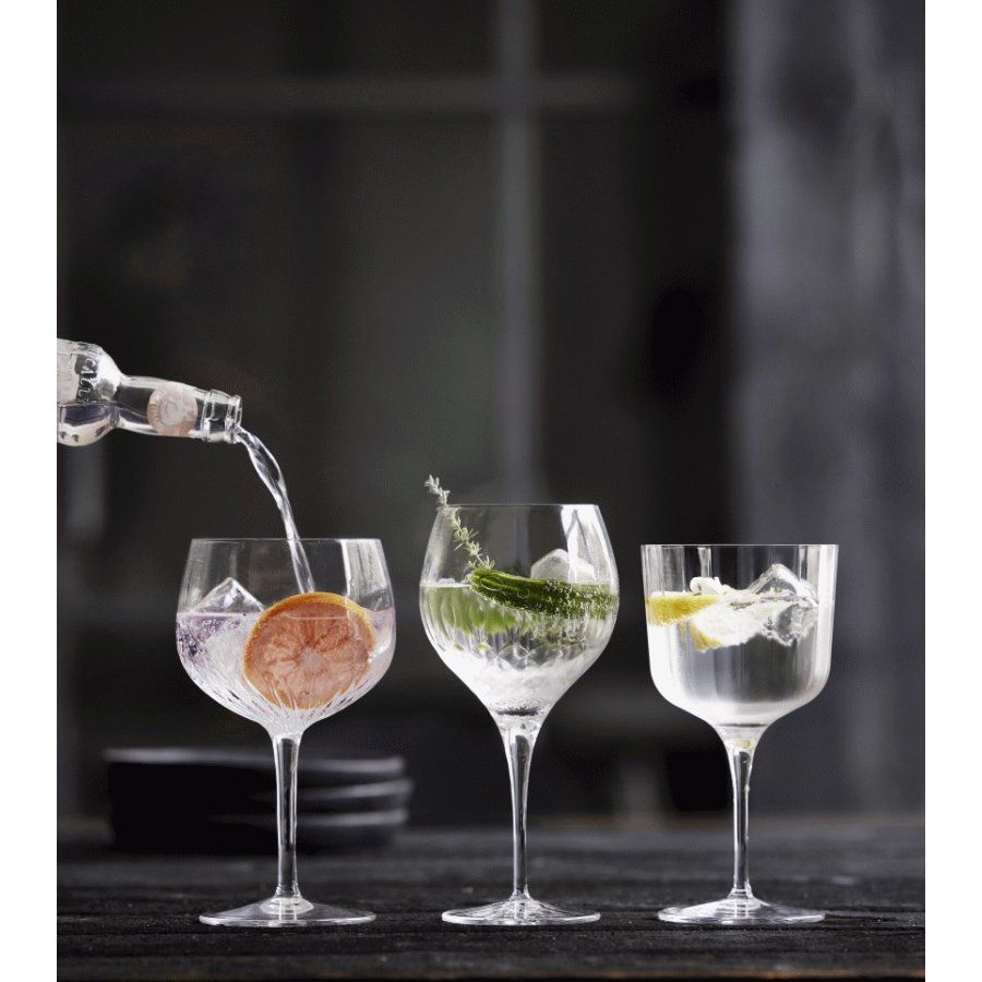 Luigi Bormioli Diamante Spanisches Gin & Tonic Glas 2er Set 65 cl