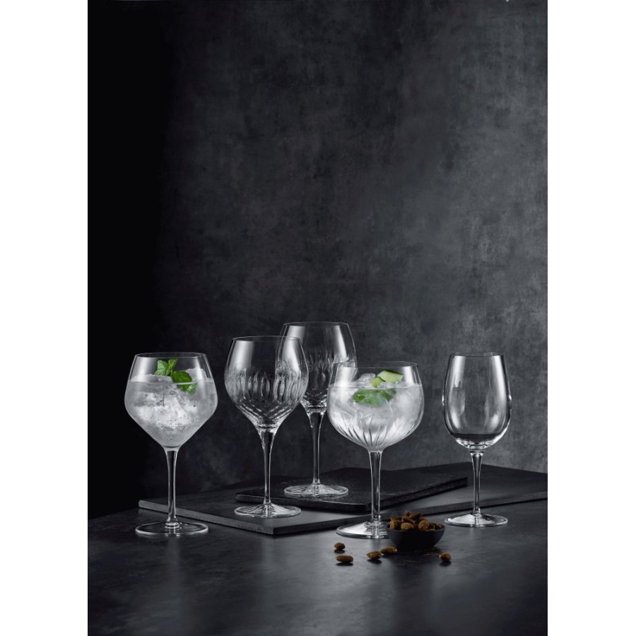 Luigi Bormioli Diamante Spanisches Gin & Tonic Glas 2er Set 65 cl