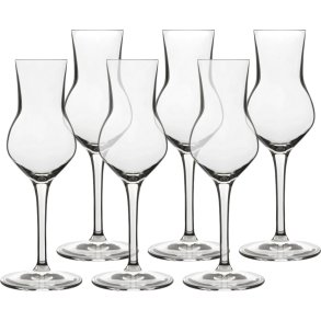 Luigi Bormioli Atelier Grappaglas 6 stk. 8 cl