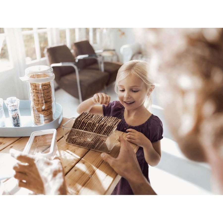 Mepal Modula Haushaltsbox 0,55 L, Transparent